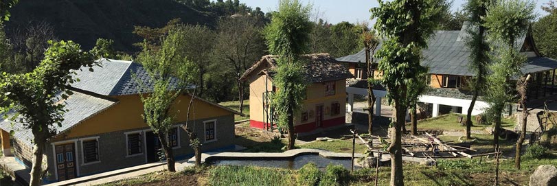 Palampur, Himachal Pradesh