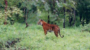 Wildlife Sanctuaries