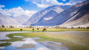 Nubra Valley
