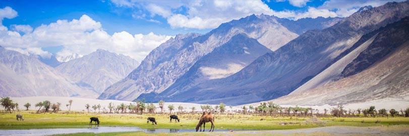 Nubra Valley Tour