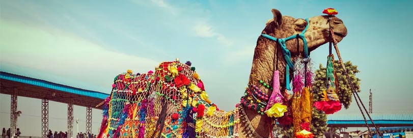 Rajasthan Fairs and Festival