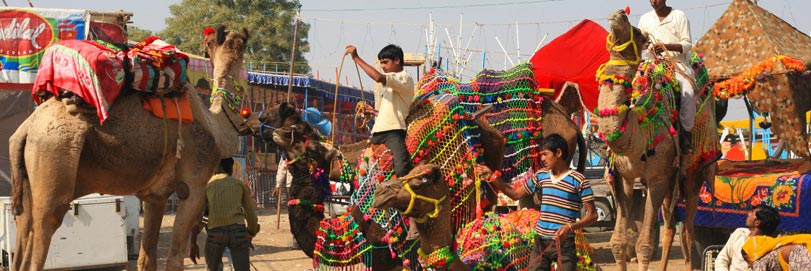 Pushkar Fair, Rajasthan