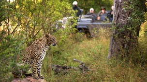 Wildlife Sanctuaries