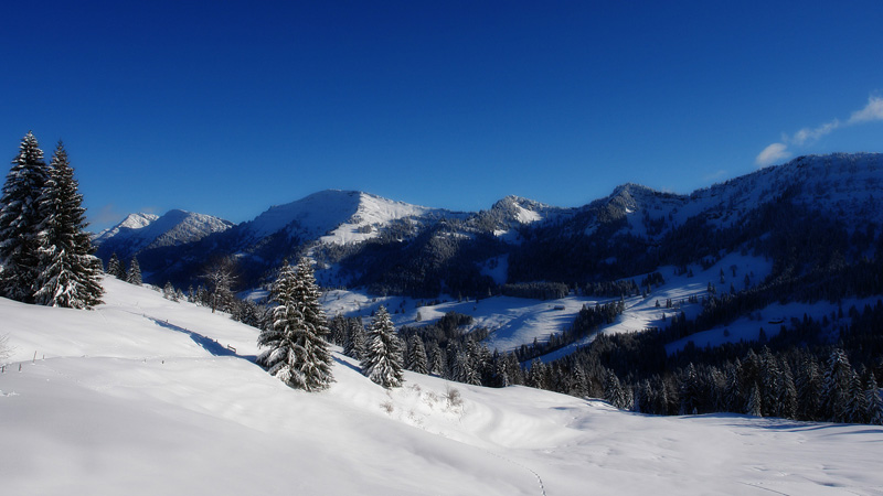 Enchanting Himachal /Golden Triangle